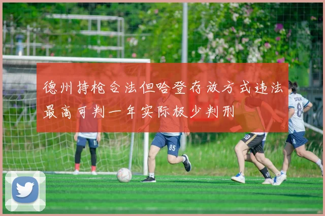 德州持枪合法但哈登存放方式违法最高可判一年实际极少判刑
